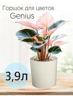 Горшок для цветов 3,9л d182 h180мм молочный Genius