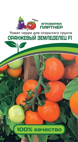 Томат Оранжевый Земледелец