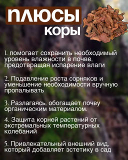 Кора сибирской лиственницы крупная 5-10см (60л) - Борресурсы фото 5
