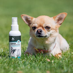 Биоспрей от паразитов Пижон Premium для обработки помещений и мест обитания, 150 мл  фото 4