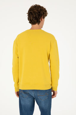 Мужской желтый базовый свитшот Неожиданная скидка в корзине - U.s. polo assn фото 5