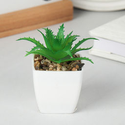 Цветочная композиция Кактус / WER-19 /уп 12/192/ микс - Галеонтрейд фото 12