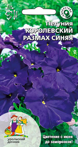 Петуния КОРОЛЕВСКИЙ РАЗМАХ СИНЯЯ