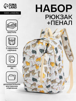 Набор: рюкзак школьный и пенал, с карманами, с принтом, размер 29?12?41 см, розовый