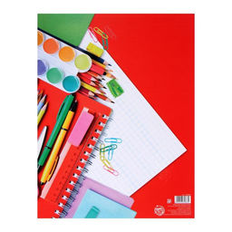 Папка школьная на кольцах «Портфолио школьника», 10 листов-разделителей, 24.5×32 см