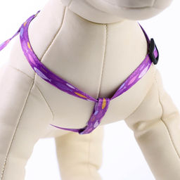 Комплект Рыбки, шлейка 24-36 см, поводок 120х1 см - Пушистое счастье фото 5