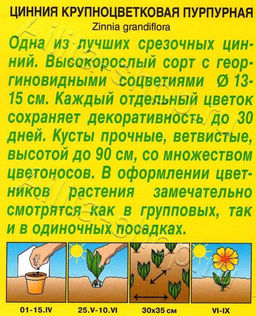 Цинния Крупноцветковая пурпурная 0,3г (Аэлита)