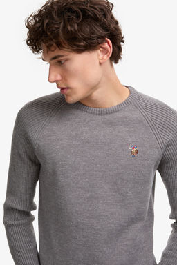 Erkek Regular Fit Bisiklet Yaka Gri Kazak - U.s. polo assn фото 2