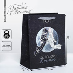 Цена за 2 шт. Пакет подарочный, упаковка, «Ты просто космос», MS 18×23×10 см