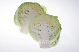 Капуста белокочанная раннеспелая Трансфер - Партнер фото 6