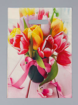 Цена за 50 шт. Пакет подарочный Сиеста, полиэтиленовый с вырубной ручкой, 29?40 см, 35 мкм