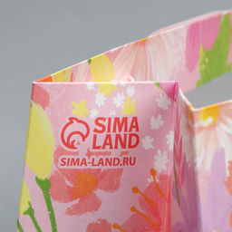 Пакет крафтовый с пластиковым окном Ты прекрасна, 24 20 11 см - Дарите счастье фото 4