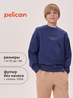 Pelican BFN3371U Толстовка для мальчиков
