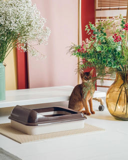 Лоток "Верный друг" с решеткой 450х350х150 мм, арт. А(М6416), (М6414), (М6415)