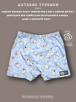 Комплект трусов для мальчика 3 шт. dff Тр 3000/2,7,9 Размер 36 - Sergio valentini фото 2