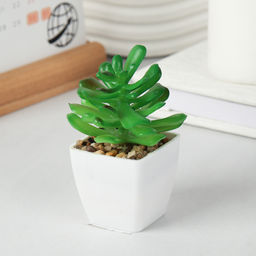 Цветочная композиция Кактус / WER-19 /уп 12/192/ микс - Галеонтрейд фото 24