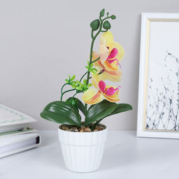 Цветочная композиция Орхидея 24 см / FH467A /уп 24/144/без индивидуальной упаковки - Галеонтрейд фото 16