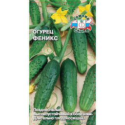Огурец Феникс 0,5г (СеДеК)