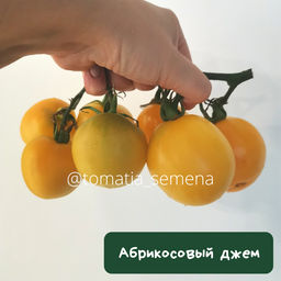 Абрикосовый джем