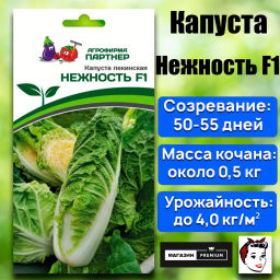Капуста пекинская Нежность - Партнер фото 8