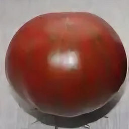 7029T Томат Имбирный пряник 10шт