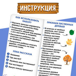 Цена за 2 шт. Развивающий набор «Хвойные и лиственные деревья»