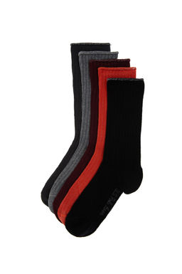 Kad_n _ok Renkli Soket _orap