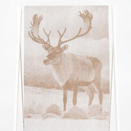 Полотенце махровое 6с102.513ж2 Фото-олень(лен3) 81х160см