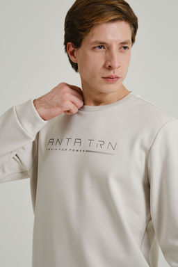 Свитшот утепленный Бежевый TRN Sweatshirt