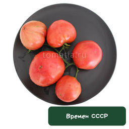 Времен СССР
