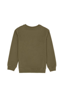 Базовый свитшот цвета хаки для мальчика - U.s. polo assn фото 2