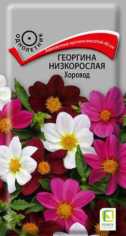 Георгина низкорослая Хоровод (ЦВ) (1) 10шт - Поиск фото 2