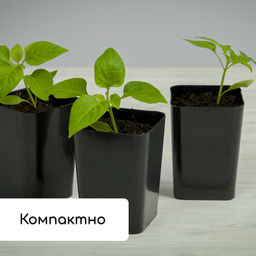 Набор для рассады: стаканы по 500 мл (10 шт.), поддон 40×19.5 см, МИКС, Greengo