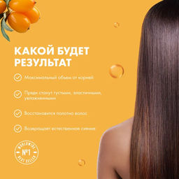 Облепиховый шампунь для всех типов волос, 400 мл / Oblepikha Siberica / Natura Siberica  фото 6