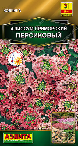 Алиссум приморский Персиковый (2029