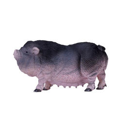 Вислобрюхая свинья