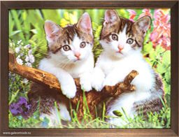 Картина 5D 30х40 039 Котята / KS1912-1 /
