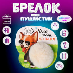 Брелок для ключей на кольце Пушистик. Корги. Для тебя крутышка!, на сумку, рюкзак, d=8 см, 14.7?15 см