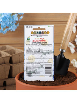 Набор семян Статица "Суприм голубая", 5 шт.