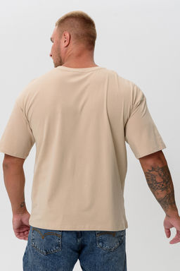 Футболка оверсайз мужская 14414/1