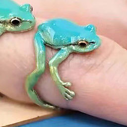 Кольцо арт. 22 6839 (id 285146)