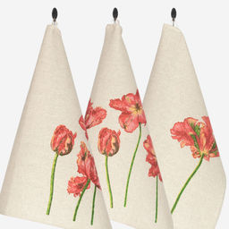 24С27-ШР/р.п/фкор/к. Комплект полотенец из 3 шт 46*60 "Фрэнсис-3" рис. 294