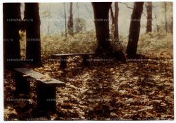 Открытка Спасское-Лутовиново  Беседка Рудина