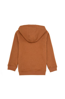 Erkek _ocuk Camel Kap__onlu Basic Sweatshirt - U.s. polo assn фото 2