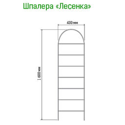Шпалера Лестница 1,60х0,43м, труба д1см, металл, зеленая эмаль (Россия) - Домашняя Мода фото 3