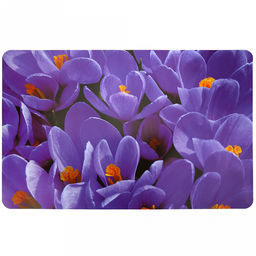 Салфетка под горячее (термосалфетка) 27х42см Крокусы (Китай)