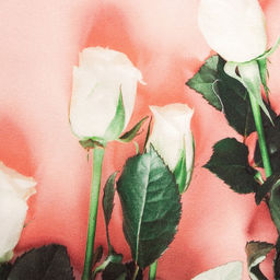 Полотенце Этель Мама 40х73 см, 100% хл, саржа 190 гр/м2  фото 3