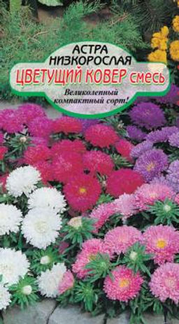 Цветущий ковер низкорослая астра 0,2гр (ссс)