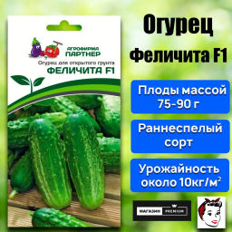 Огурец пчелоопыляемый Феличита - Партнер фото 2