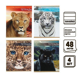 Комплект тетрадей из 4 штук, 48 листов в линейку «Дикие кошки», серые листы